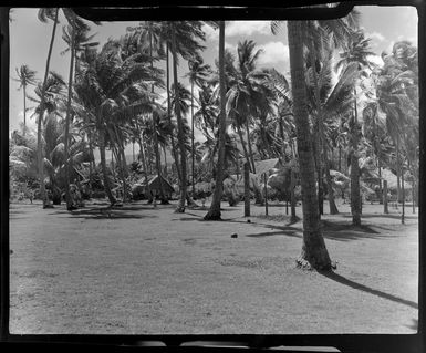 Tropique Hotel, Tahiti, showing huts and palm trees