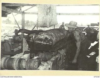 LAE, NEW GUINEA. 1944-08-11. LOGS BEING SAWN INTO BOARDS AT THE SAWMILL OF THE 2/3RD FORESTRY COMPANY. IDENTIFIED IS:- QX20908 SAPPER WOOLNOUGH (1)