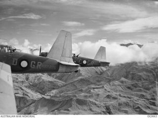 NEW GUINEA. 1944-02-27. IN FLIGHT OVER RUGGED MOUNTAINOUS TERRAIN, VULTEE VENGEANCE DIVE BOMBER AIRCRAFT OF NO. 24 SQUADRON RAAF IN CLOSE FORMATION RETURNING FROM AN AIR RAID ON THE JAPANESE-HELD ..