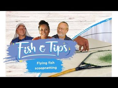 Flying fish scoop-netting | Fish & Tips - Season 3, Episode 5