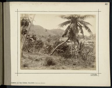 The Bungalow, Mango, Fiji