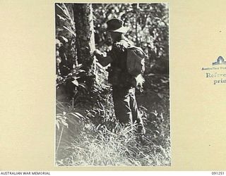 KARAWOP AREA, AITAPE-WEWAK SECTOR, NEW GUINEA. 1945-04-25. CPL C. BEHAN, D COMPANY, 2/1 INFANTRY BATTALION LAYING SIGNAL WIRE TO THE OBJECTIVE DURING THE ASSAULT ON 1800 FEATURE. OUR TROOPS CLIMBED ..