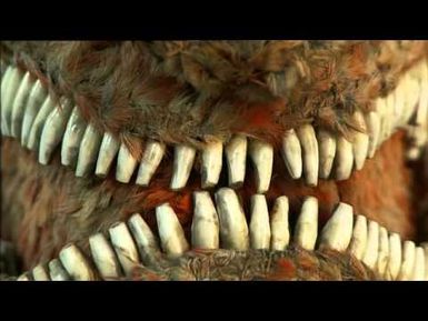 The Feathered Face of War - Tales from Te Papa episode 51
