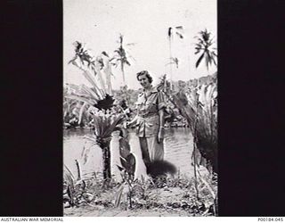 NEW GUINEA. 1945-03. SISTER UMPHERSTON, AUSTRALIAN ARMY NURSING SERVICE, 2/11 AUSTRALIAN GENERAL HOSPITAL