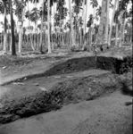 Vailele excavation; layer 3A and 3B from east, scale 12 inches.