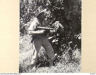 LAE, NEW GUINEA. 1944-02-18. NX122585 WARRANT OFFICER A. HOLLIER, HEADQUARTERS, NEW GUINEA FORCE, DEMONSTRATING TYPICAL AUSTRALIAN ARMY JUNGLE UNIFORMS EQUIPMENT