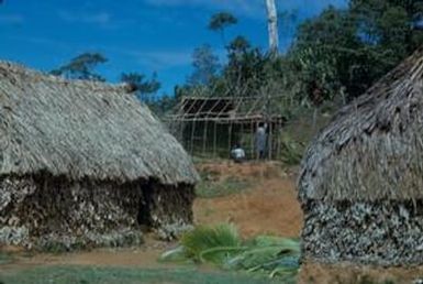 [Thatch dwellings in Suva, Fiji]