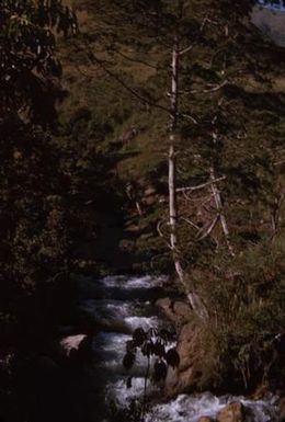 [Landscape view from Goroka to Wonenara, Papua New Guinea]