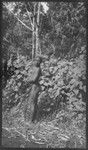 Girl by bushes