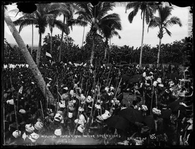 Scene at Mulinu'u Peninsula, Apia