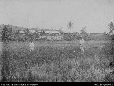 Wai Fern Estate Lines