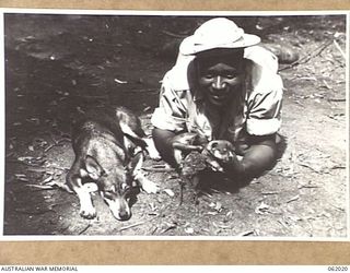 DREGER HARBOUR, NEW GUINEA. 1943-12-06. PRIVATE R.C. JONES OF ARKANSAS, USA, AND OF THE 870TH UNITED STATES AVIATION ENGINEER BATTALION PROUDLY DISPLAYS "MAGGIE", THE UNIT MASCOT AND HER NEW BORN ..