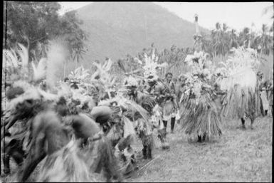 Dancers wearing large feathered headdress, most are bending over, New Guinea, ca. 1929 / Sarah Chinnery