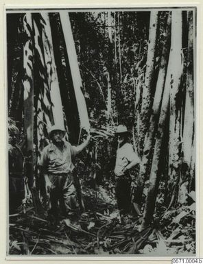 ["man, män, fotografi, photograph"]