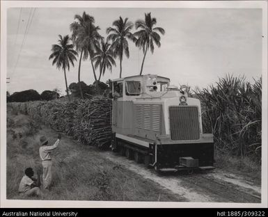 Diesel locomotive pulling cane on main line near Nandi