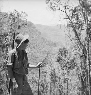 PAPUA. 1942-09. LOOKING OUT ACROSS THE DEEP VALLEYS TOWARDS EURIBAIWA ON THE KOKODA TRACK, FROM A POINT WHERE THE ROAD ENDS AND THE DESCENT BY FOOT TRACK COMMENCES