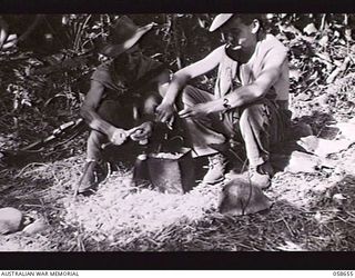 DUMPU, NEW GUINEA. 1943-10-05. WX5773 CORPORAL W. J. ROBINSON (LEFT) AND QX28608 PRIVATE R. C. TOOHEY, BOTH OF THE 2/16TH INFANTRY BATTALION, PEELING SWEET POTATOES WHICH THEY DUG UP NEAR THE CAMP ..