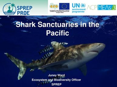 Shark sanctuaries in the Pacific