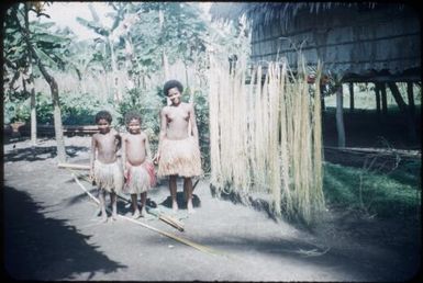 Skirt-making - young coconut palm leaves shredded and hanging to dry : Environs of Mapamoiwa, D'Entrecasteaux Islands, Papua New Guinea, 1956 / Terence and Margaret Spencer