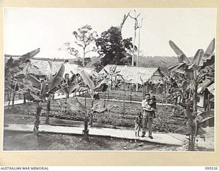 WUNUNG, JACQUINOT BAY, NEW BRITAIN, 1945-08-25. THE ALLIED INTELLIGENCE BUREAU AREA WITH ITS GARDENS IN THE CENTRE