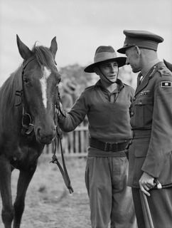 HERBERTON, QLD. 1943-06-12. THE GENERAL OFFICER COMMANDING, 6TH AUSTRALIAN DIVISION, MAJOR-GENERAL J.E.S. STEVENS, CB, DSO, ED, TALKING TO QX51412 SERGEANT J. ALVISIO, WHO IS HOLDING HIS HORSE ..