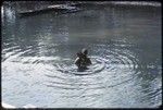 Manus: child and adult bathe in lagoon, canoe in background