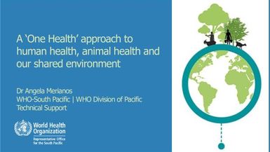 A One Health approach to human health, animal health and our shared environment