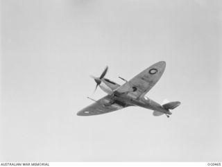 KIRIWINA, TROBRIAND ISLANDS, PAPUA. 1944-01-11. THERE IS NO PRETTIER SIGHT THAN A SPITFIRE AIRCRAFT OF NO. 79 (SPITFIRE) SQUADRON RAAF IN FLIGHT. HERE IS ONE JUST AFTER TAKE OFF