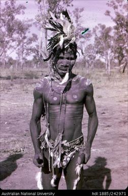 Unidentified Aboriginal man in traditional dress