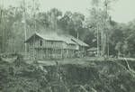 Ok Mart village, Kiunga sub-district, [Papua New Guinea], 1953