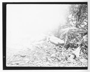 [Debris on Guadalcanal]
