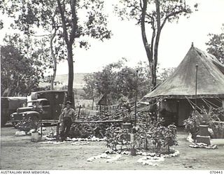 FOUR MILE VALLEY, NEW GUINEA, 1944-02-03. VX480007 CORPORAL W. INGLIS, STANDS OUTSIDE THE SALVATION ARMY HEADQUARTERS FOR THE SOUTH WEST PACIFIC AREA. THE TENT COMPRISES THE OFFICE AND STAFF LIVING ..