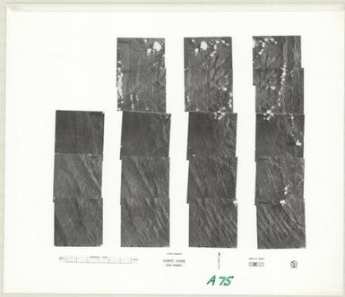 Stereo assembly Papua New Guinea. (Albert Divide , sheet 2)