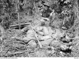 MOLONEY'S RIDGE, WEWAK, NEW GUINEA. 1945-07-13. CORPORAL D.L. MCMASTER, A COMPANY, 2/5 INFANTRY BATTALION, WITH THREE DEAD JAPANESE OUTSIDE THEIR WEAPON-PIT. THE COMPANY CAPTURED THE RIDGE AFTER A ..