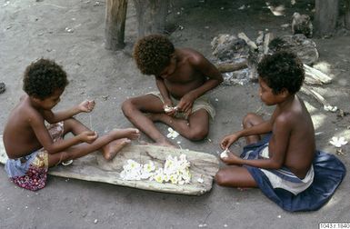 ["fotografi, photograph"]