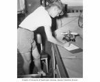 Mr. Nichols weighing fish specimens, probably in the vicinity of Bikini Atoll, 1947