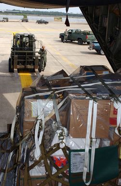 Hawaii Air National Guard loadmaster CHIEF MASTER SGT. Sam Wong, unloads a 2900 lb medical pallet from a C-130 Hercules cargo aircraft during Operation Unified Assistance relief operations for tsunami victims at Utapao, Thailand, on Jan. 18, 2005. (U.S. Air Force PHOTO by STAFF SGT. Mysti Bicoy) (Released)