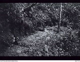 PEAK HILL, NEW GUINEA. 1943-12-10. JAPANESE FOX HOLES DUG INTO THE BANK ON THE SIDE OF A MUDDY ROAD AT PEAK HILL, WHICH WAS THE ENEMY'S MAIN DEFENCE LINE. VX42910 CORPORAL E. STUART OF I SECTION ..