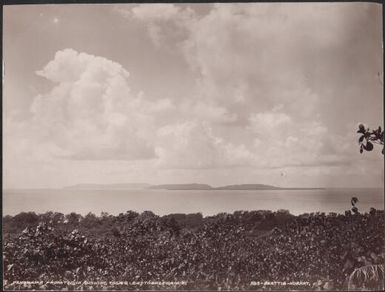 Toga and Loh viewed from Tegua, Torres Islands, 1906 / J.W. Beattie