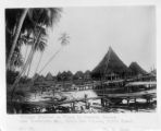 Papua New Guinea, village in swamp area near Humboldt's Bay