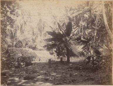 Satawan atoll, 1886