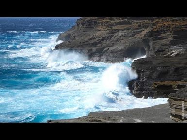Dubious Distinction | Insights on PBS Hawai'i