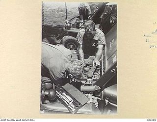 CAPE PUS, WEWAK AREA, NEW GUINEA, 1945-09-07. CORPORAL H. JOHNSON (1), DRIVER S. BATES (2), AND DRIVER K.A. WARREN (3), TRANSPORT PERSONNEL OF 2/1 INFANTRY BATTALION, AT WORK ON THE MAINTENANCE OF ..