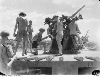 Pacific Area. c. 1942. Two guns in an Australian anti aircraft battery ready for firing