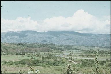 The valley floor - where once they were afraid to live (3) : Wahgi Valley, Papua New Guinea, 1970 / Terence and Margaret Spencer