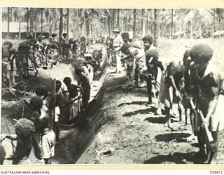 MILNE BAY, NEW GUINEA, 1943-05. NATIVE LABOUR GANG OF THE AUSTRALIAN MALARIAL CONTROL UNIT DIGGING A DRAINAGE TRENCH AS A FIRST MOVE TO ERADICATE THE MALARIAL MOSQUITO