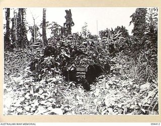 TOROKINA AREA, BOUGAINVILLE. 1945-07-28. M24 GENERAL CHAFFEE LIGHT TANKS, CAMOUFLAGED WITH VINES, BREAK OUT OF THE JUNGLE DURING TESTS CONDUCTED FOR THE WAR OFFICE