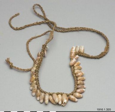 necklace, jewellery, necklace