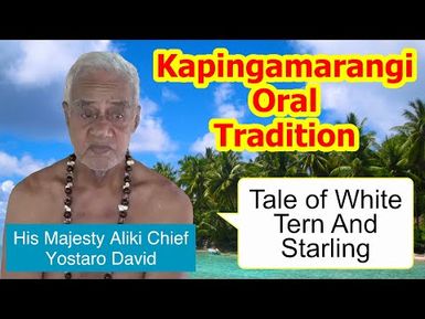 Tale of white tern and starling, Kapingamarangi Atoll