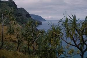 [Landscape at coastline of Kalalau Valley, United States]